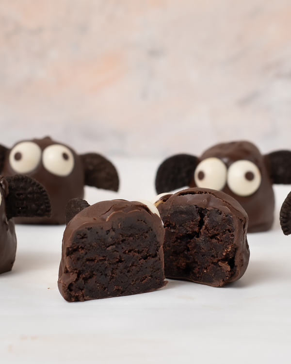Chocolate Bat Cake Pops by NJD view 5