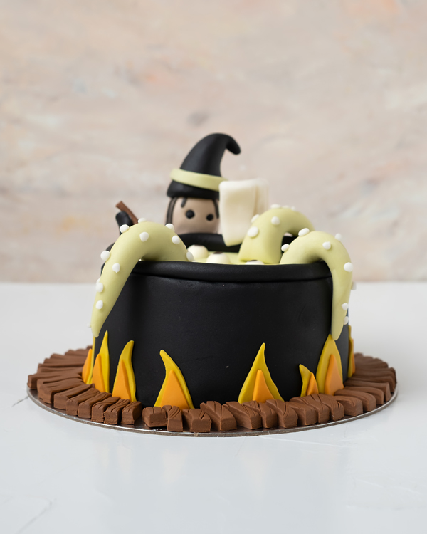Witches Cauldron cake view 4