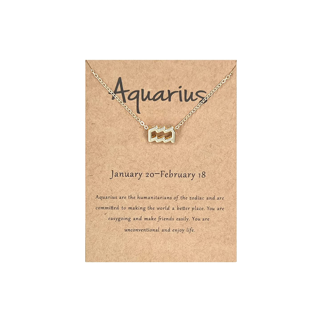 Aquarius Gift (Women) view 8
