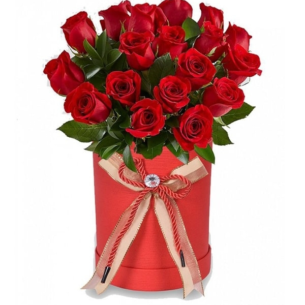 narciso gifts 15 view 5