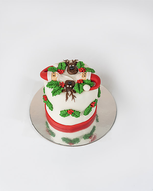 Santa and Reindeer Christmas Cake By NJD view 1