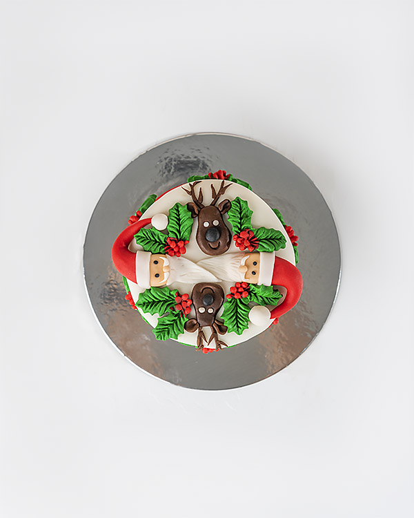 Santa and Reindeer Christmas Cake By NJD view 4