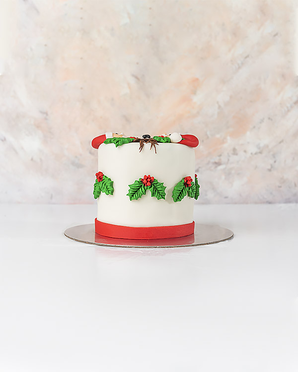 Santa and Reindeer Christmas Cake By NJD view 5