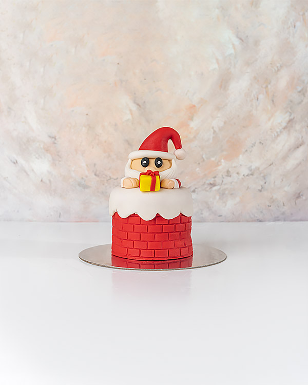 Santa in Chimney Cake by NJD view 4