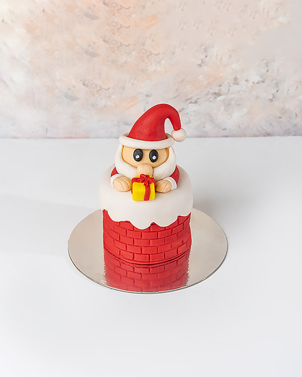 Santa in Chimney Cake by NJD view 5