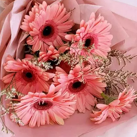 Elegant Pink Gerberas Beautifully Tied Bouquet Standard view 6