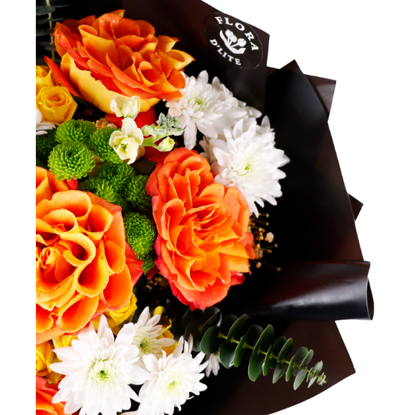 Kiss blooms view 4