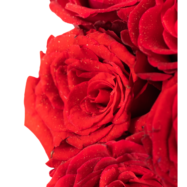 Rose Vase Arrangement view 5