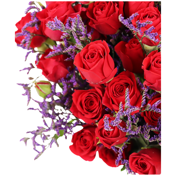 Red Delight view 4