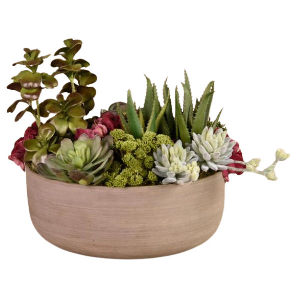 Corporate Gifts plante with chocolate 3 view 4