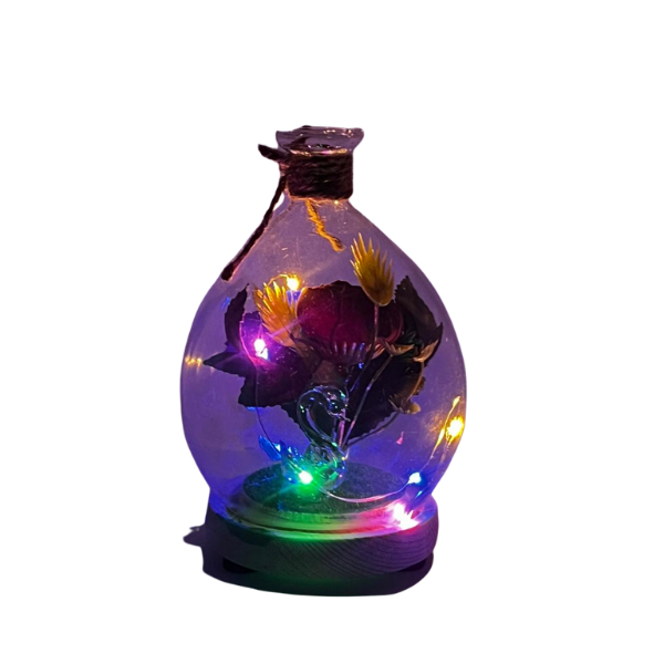 Light Bundle 2023 view 4