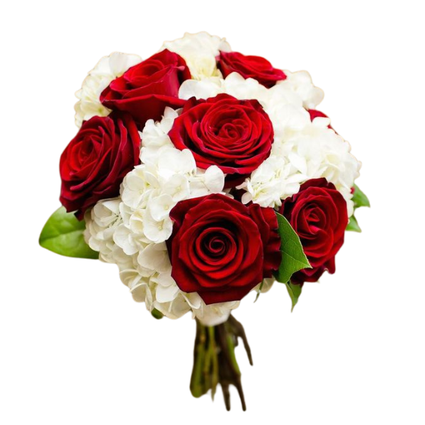 Aries horoscope bundle view 7
