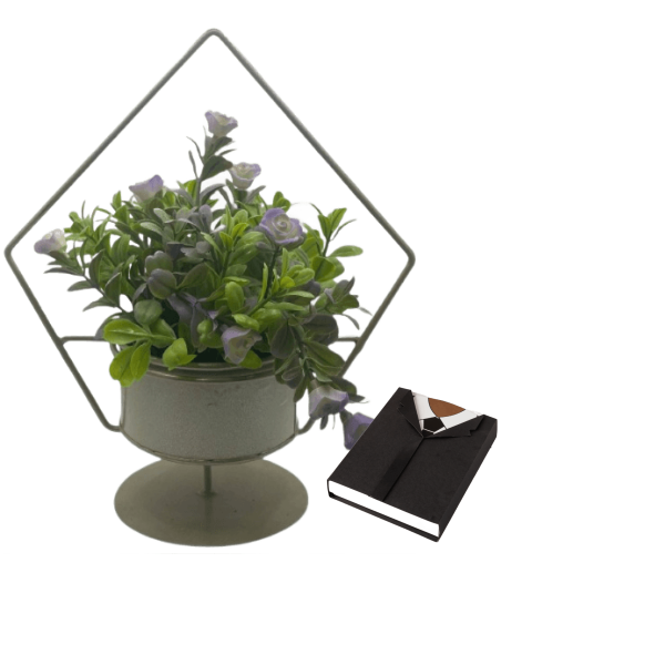Corporate Gifts plante with chocolate 8 view 1