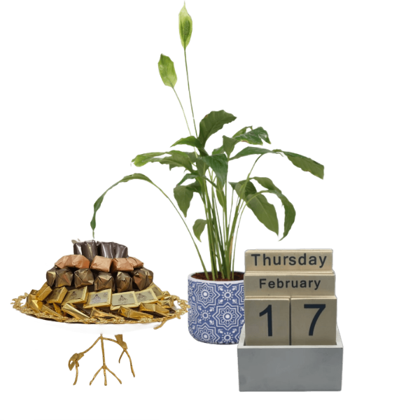 special Corporate Gifts  19 view 1