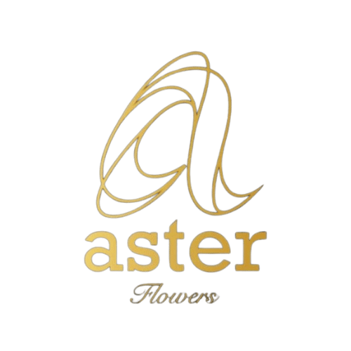 Aster