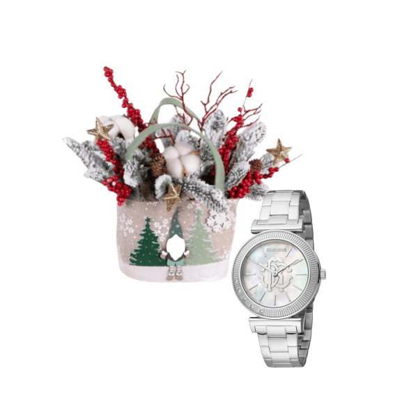 Luxury watch gifts 1 view 1