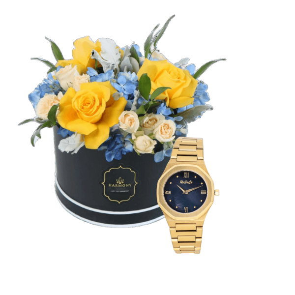 Luxury watch gifts 2 view 1