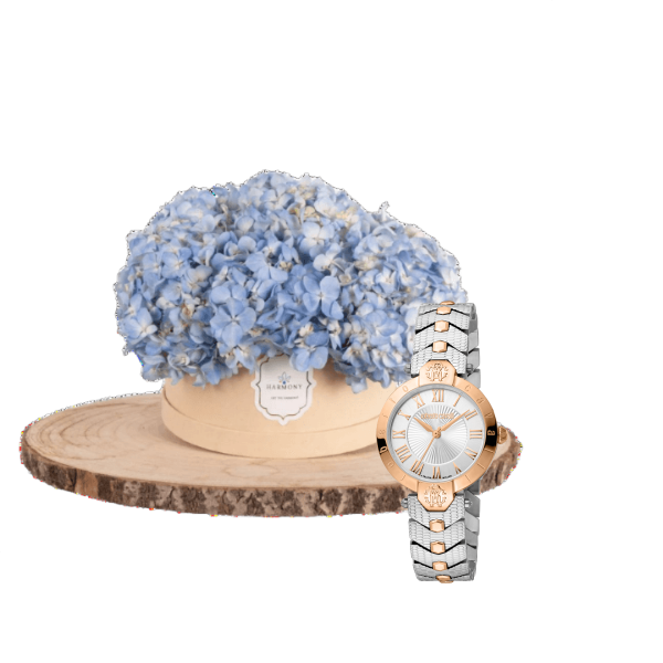 Luxury watch gifts 14 view 1