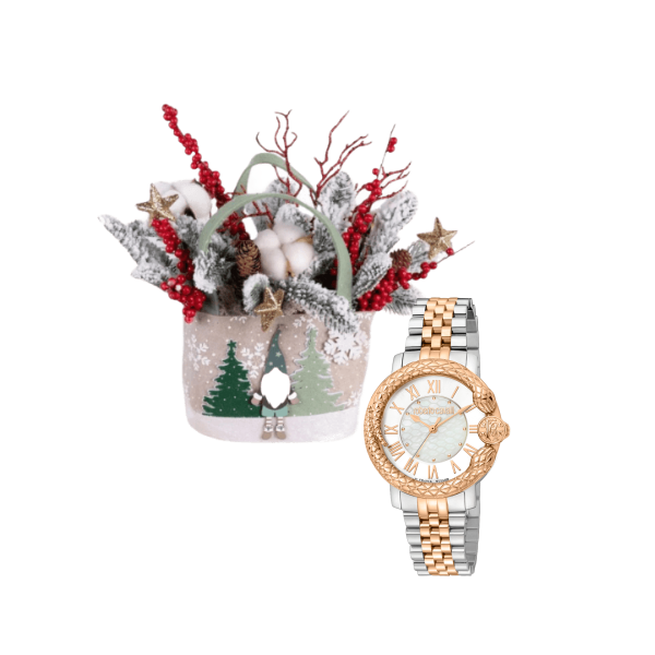 Luxury watch gifts 23 view 1