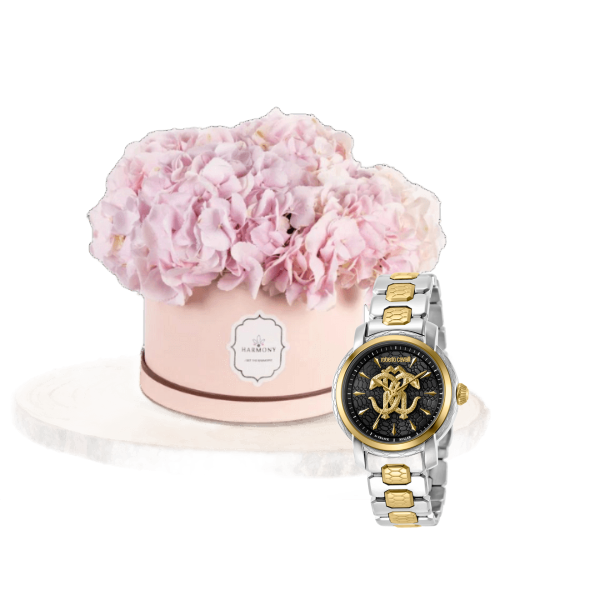 -Luxury watch gifts - 5 view 1