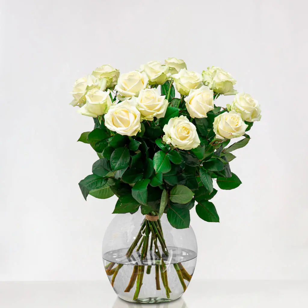 Dolce Eleganza : 12 rose bianche view 5