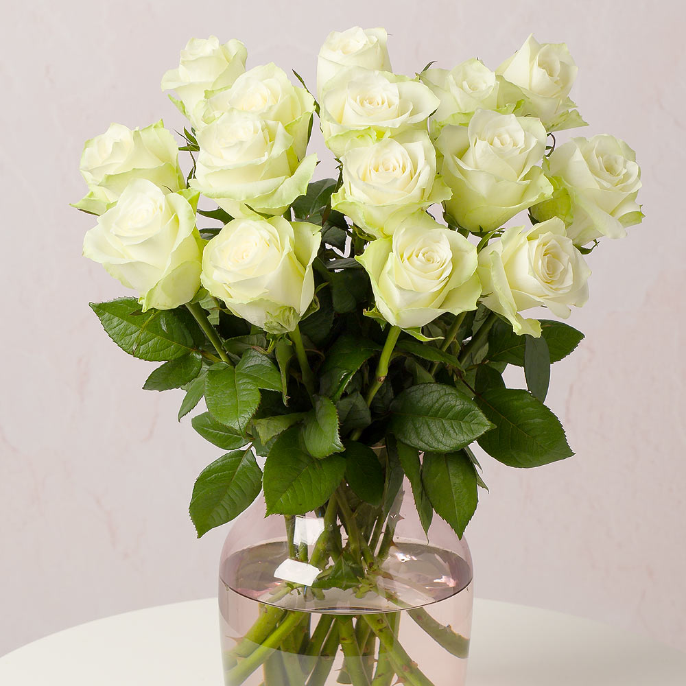 Dolce Eleganza : 12 rose bianche view 6
