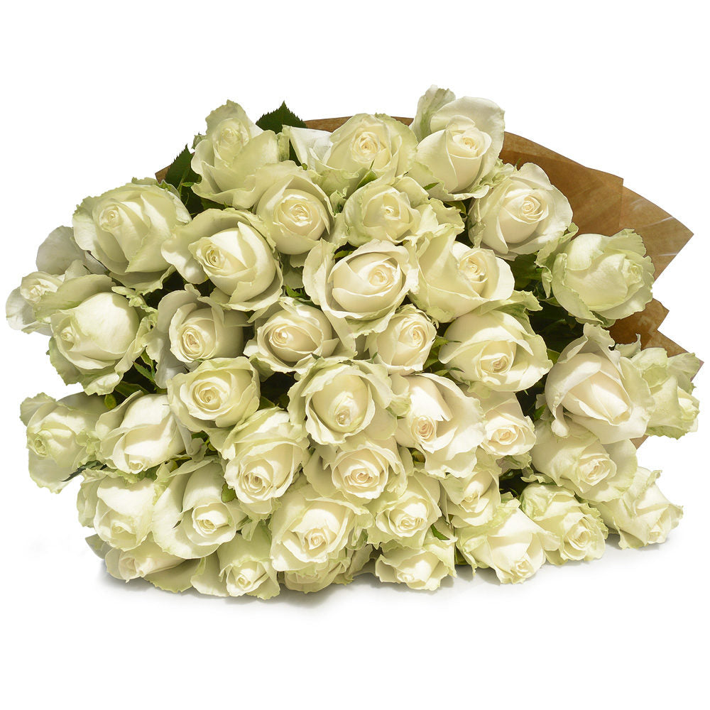 Eleganza Neve : 51 rose bianche view 5