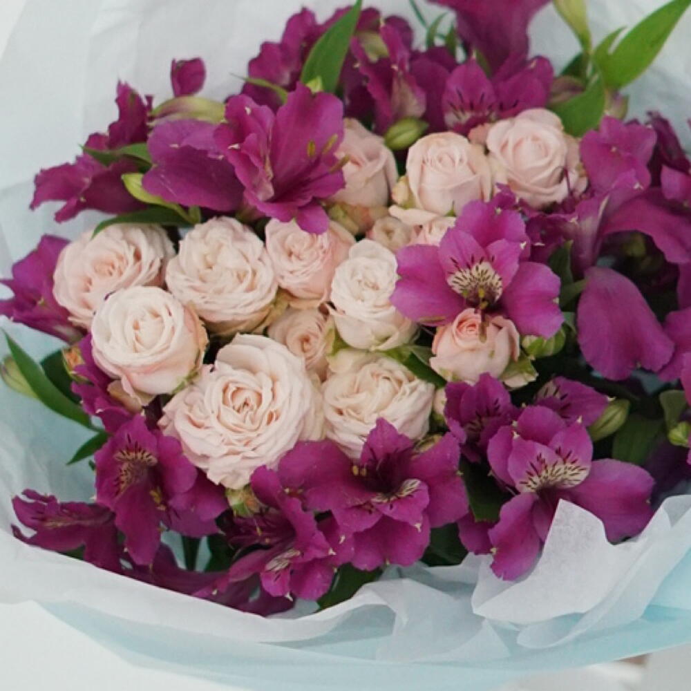 "Romance view 5