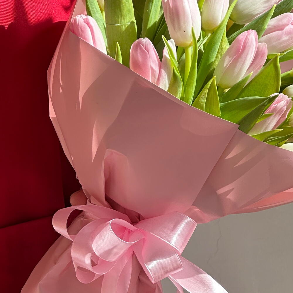 Tulip Dream1 view 4