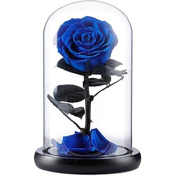 Valentine's Day gifts 15 view 4