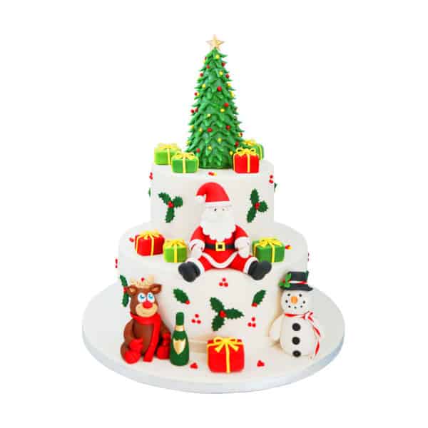 family gift for chritmas view 5
