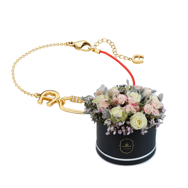 Aigner gifts  9 view 1