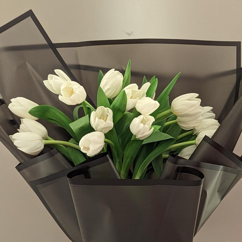 White Tulip Beauty view 4