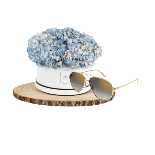 Cartier sunglasses gifts 4 view 1