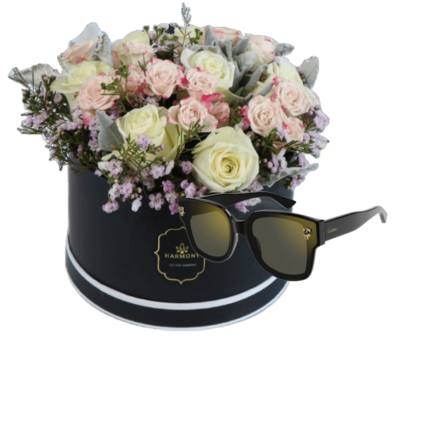 Cartier sunglass gifts 5 view 1