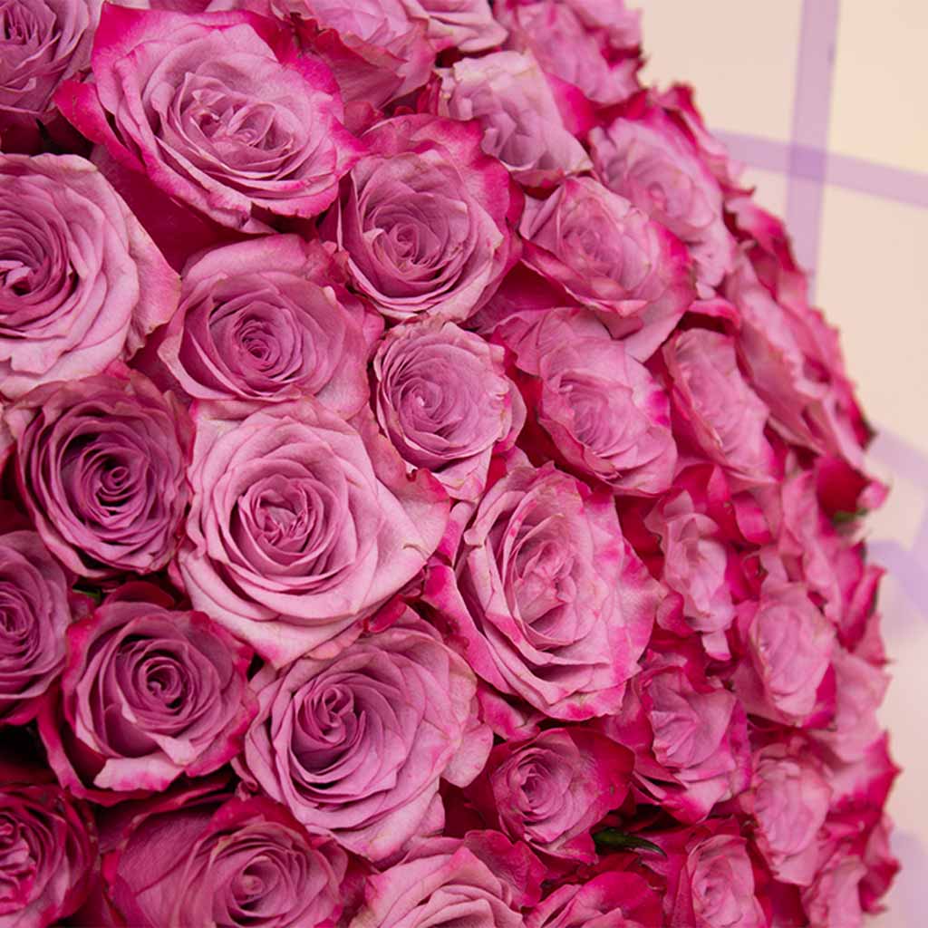 Deep purple 50 roses bouquet view 5