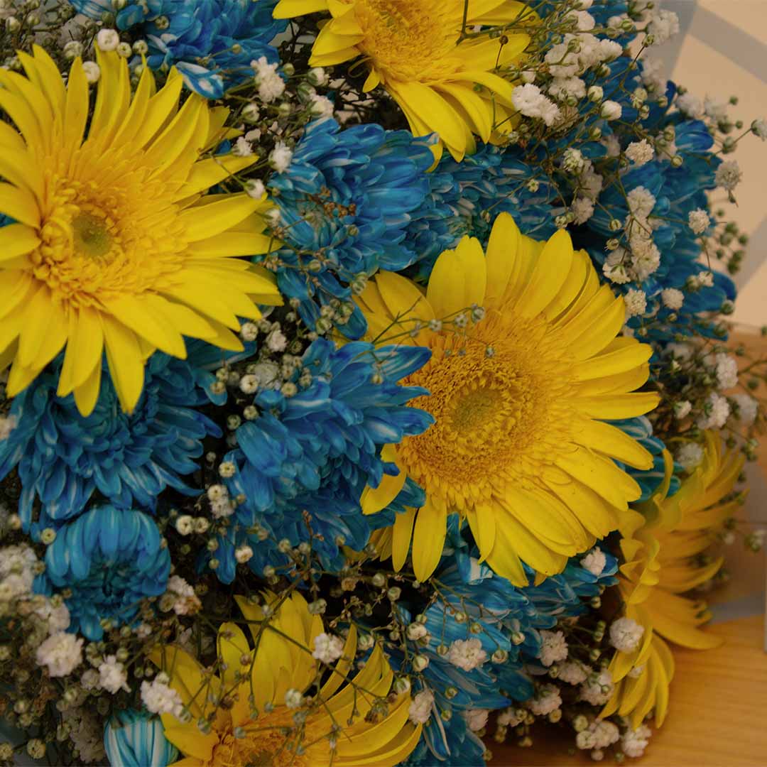 Flowrista | Blue Chrysanthemum & Yellow Gerbera Bouquet view 4