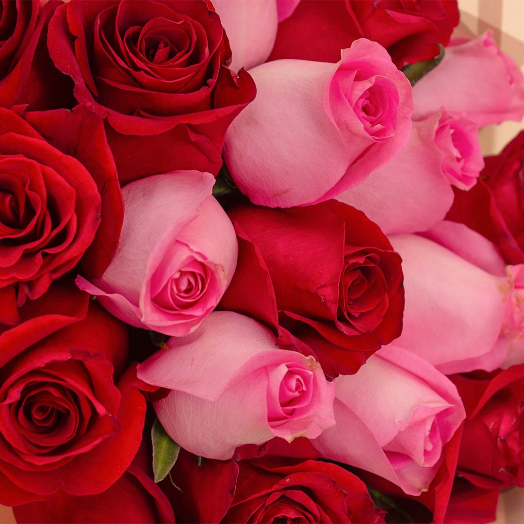 Flowrista | Red & Pink Roses Bouquet view 4