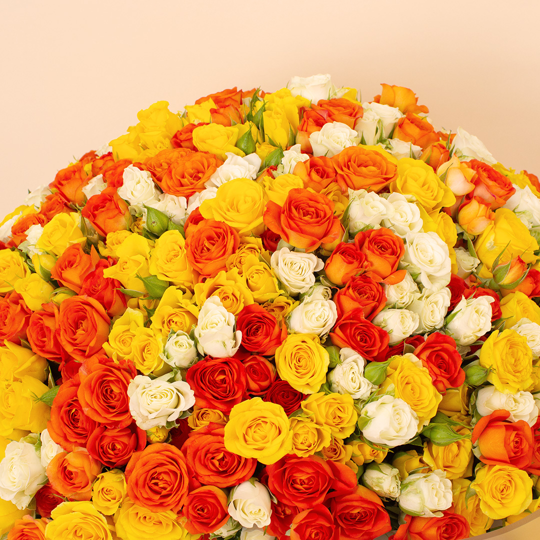Flowrista Bouquet of 250 White, Orange & Yellow Roses view 4