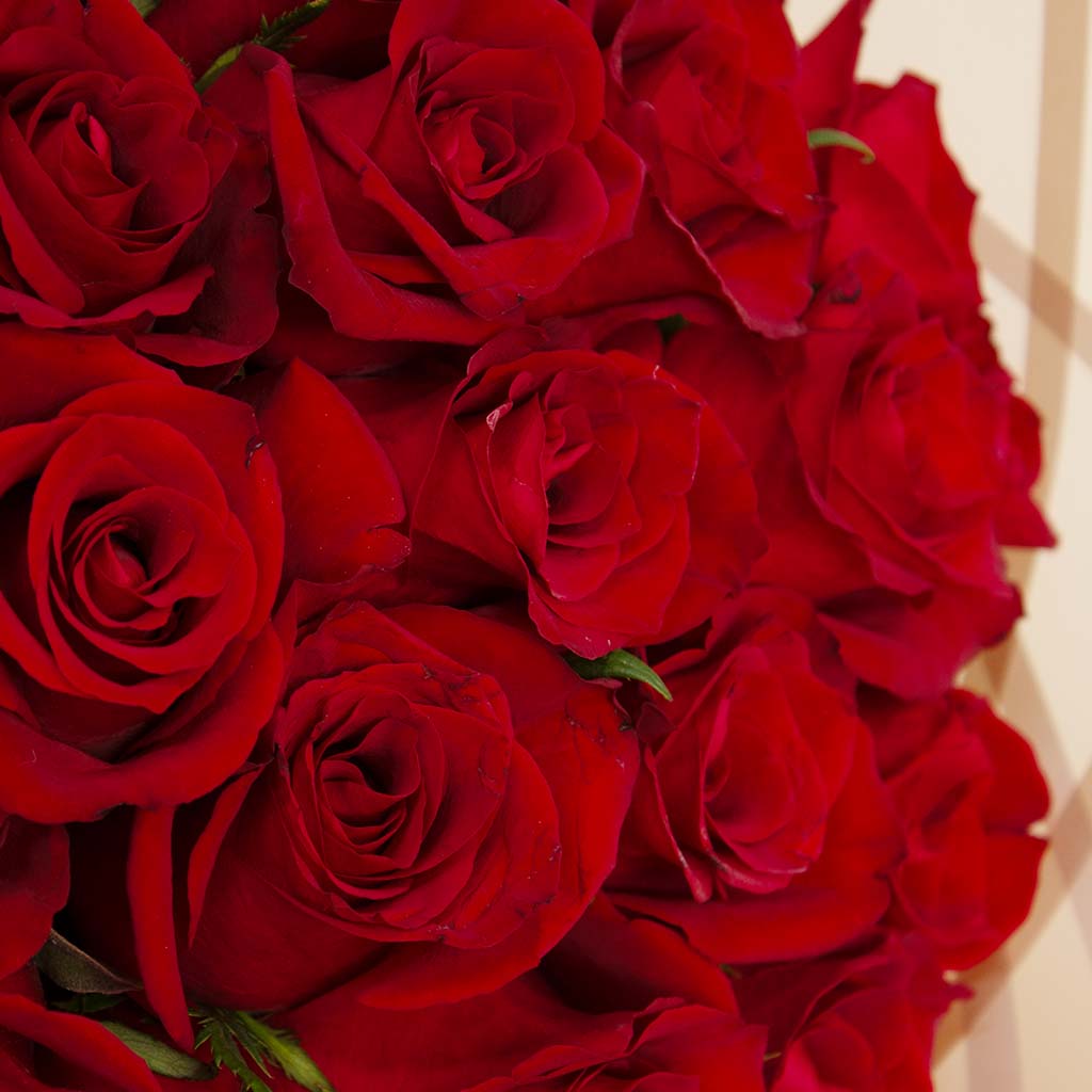 Flowrista Red Roses Bouquet | 20 Roses view 4