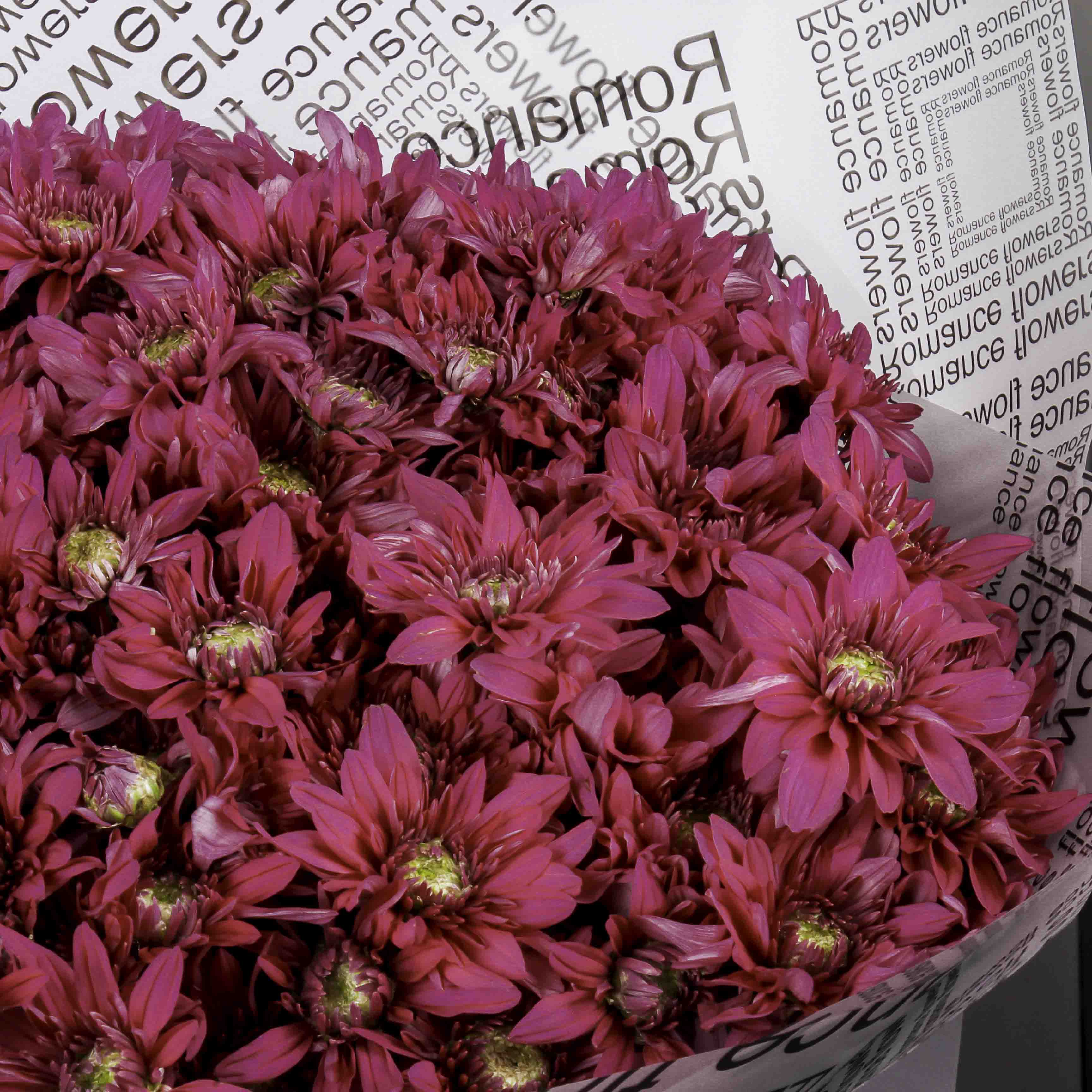 Purple Chrysanthemum Hand Bouquet view 4