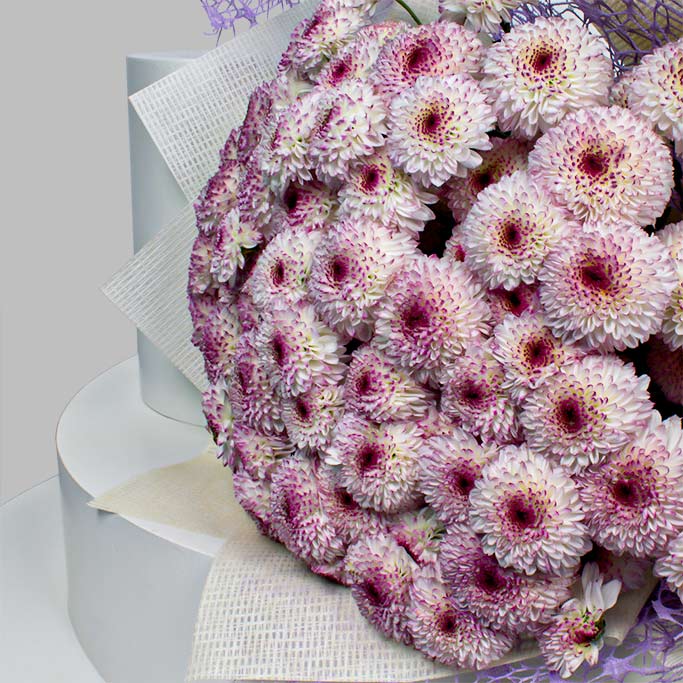 Lollipop Chrysanthemum Hand Bouquet - Natural Beauty Gift view 4