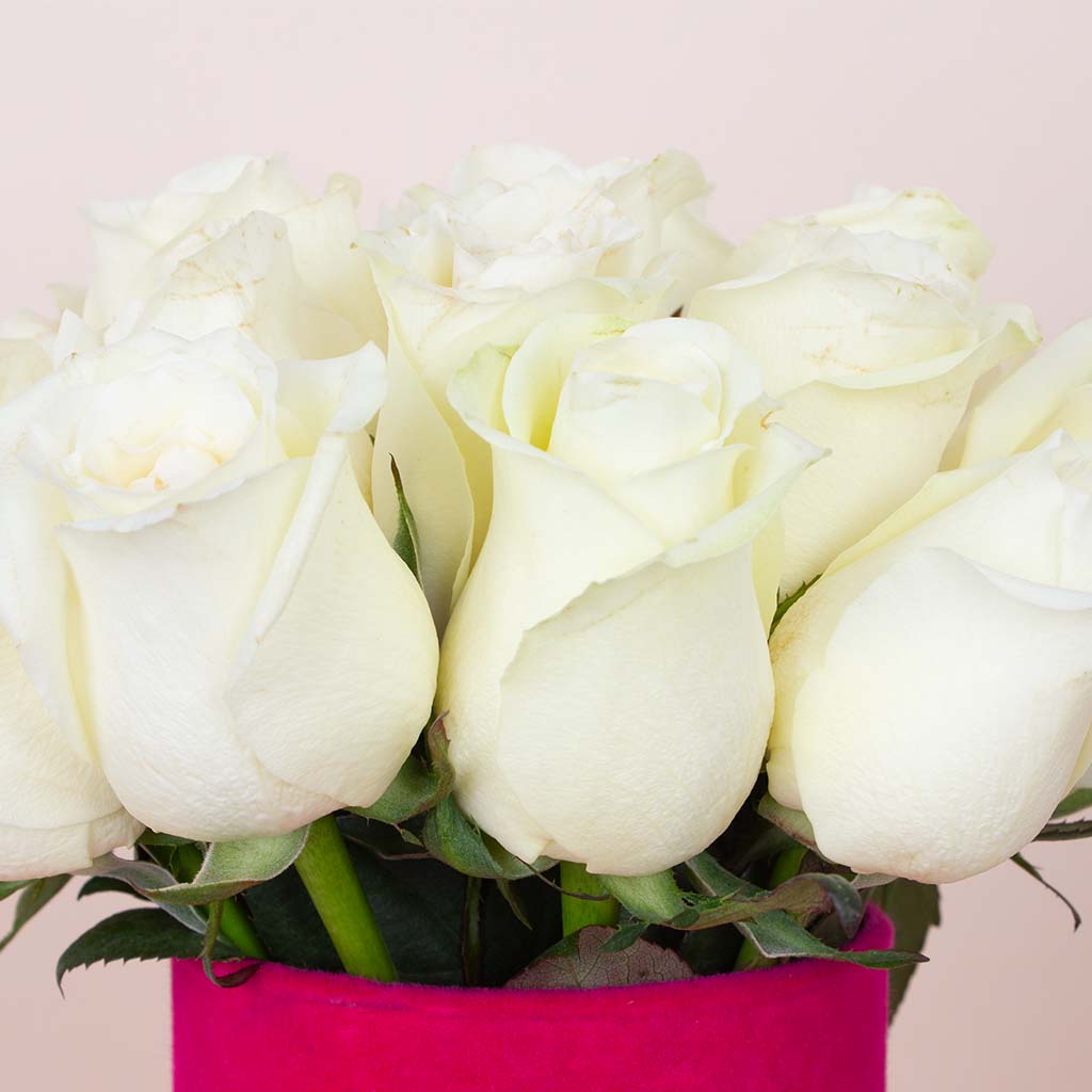 White Whisper Vase - 20 Stems view 4