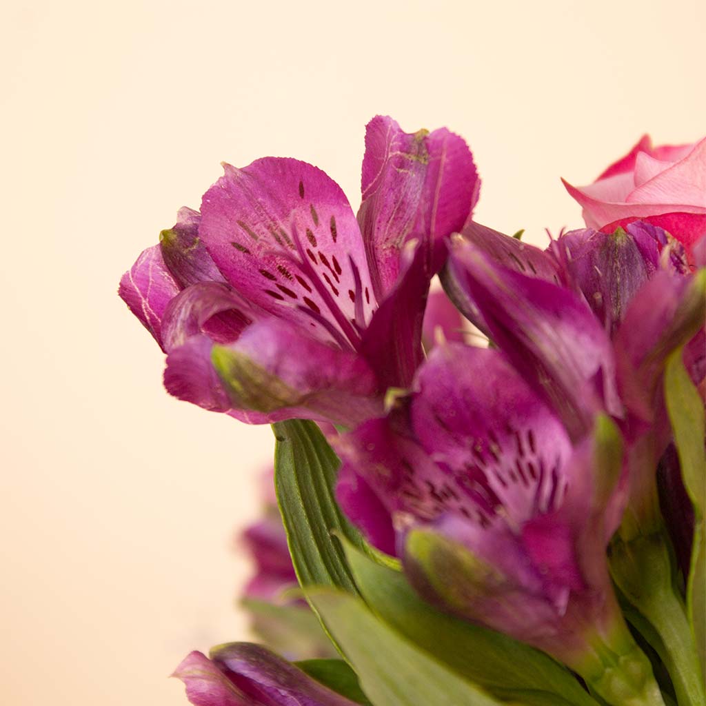 Purple & Pink Mixed Flowers Glass Vase view 4