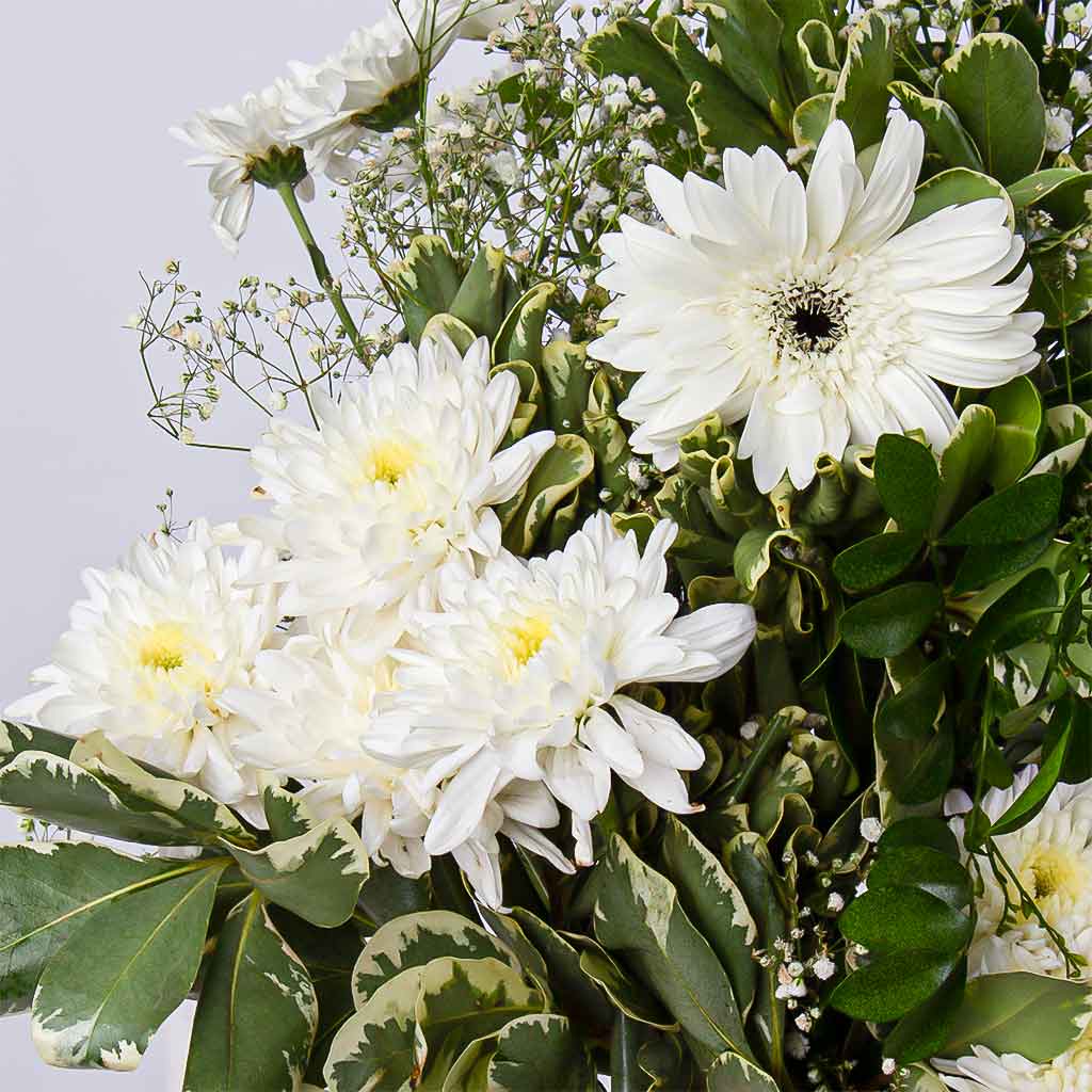 Whisper of White – Gerbera & Caranthantum Vase view 4