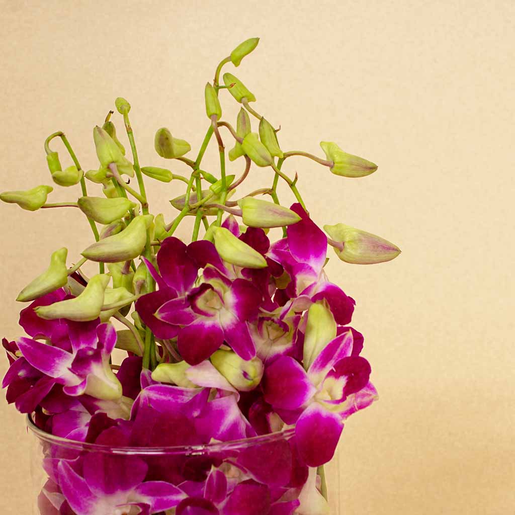 Baby Orchid Flower Vase - 10 Roses view 4
