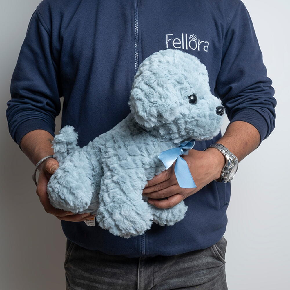 Cute Teddy Grey Dog-968 view 4