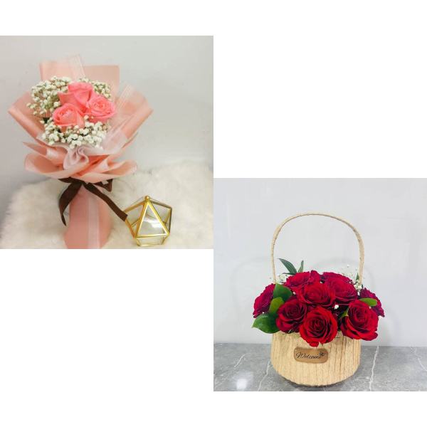 HB0304 Bundle 3755 view 1
