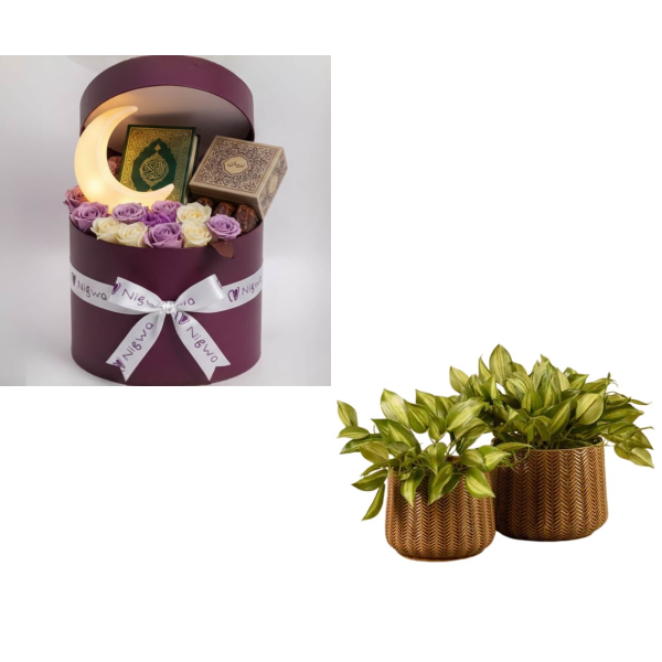 The Bundle 6585 view 1