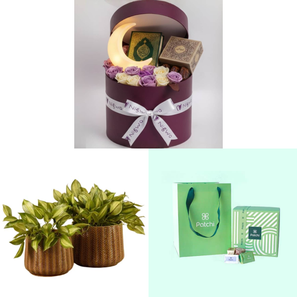 The Bundle 1431 view 1